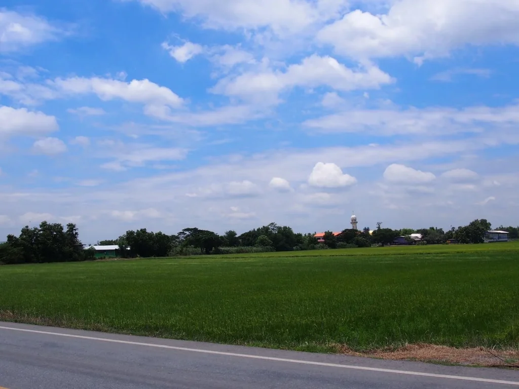 ขายด่วน ที่ติดถนนใหญ่ ลาดบัวหลวง-บางไทร