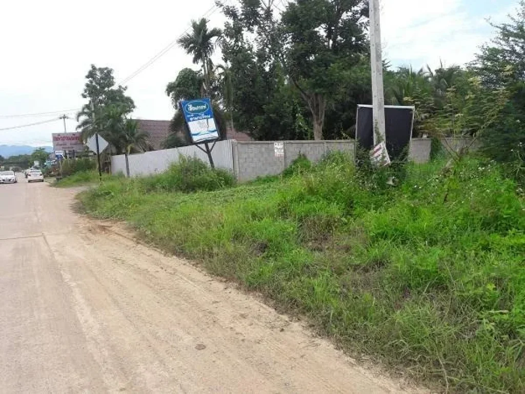 ที่ดินเปล่า 100 ตรว ติดถนน กาดน้ำทอง