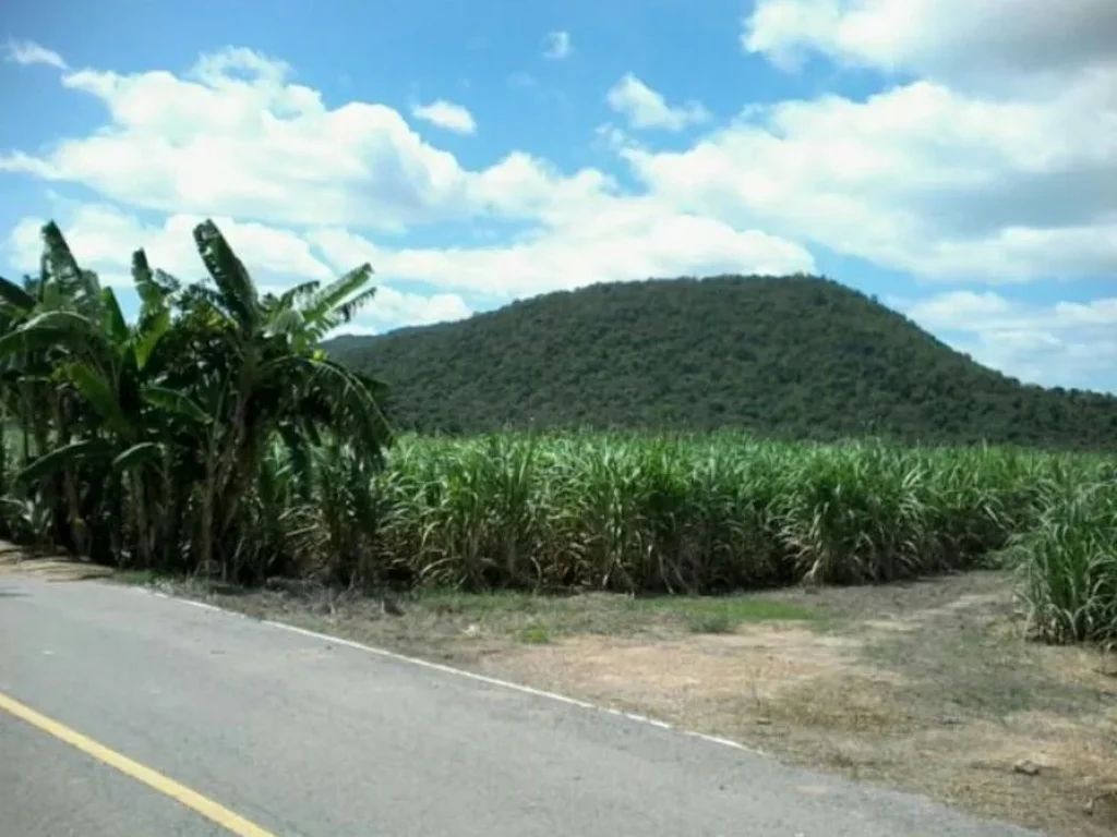 ที่ดินสวย ราคาถูก 5ไร่ด้านหน้าติดถนนด้านหลังวิวเขาสวย ที่โฉนดใกล้โครงการพระราชดำริ เขาชะงุ้ม ราคาไร่ละ280000