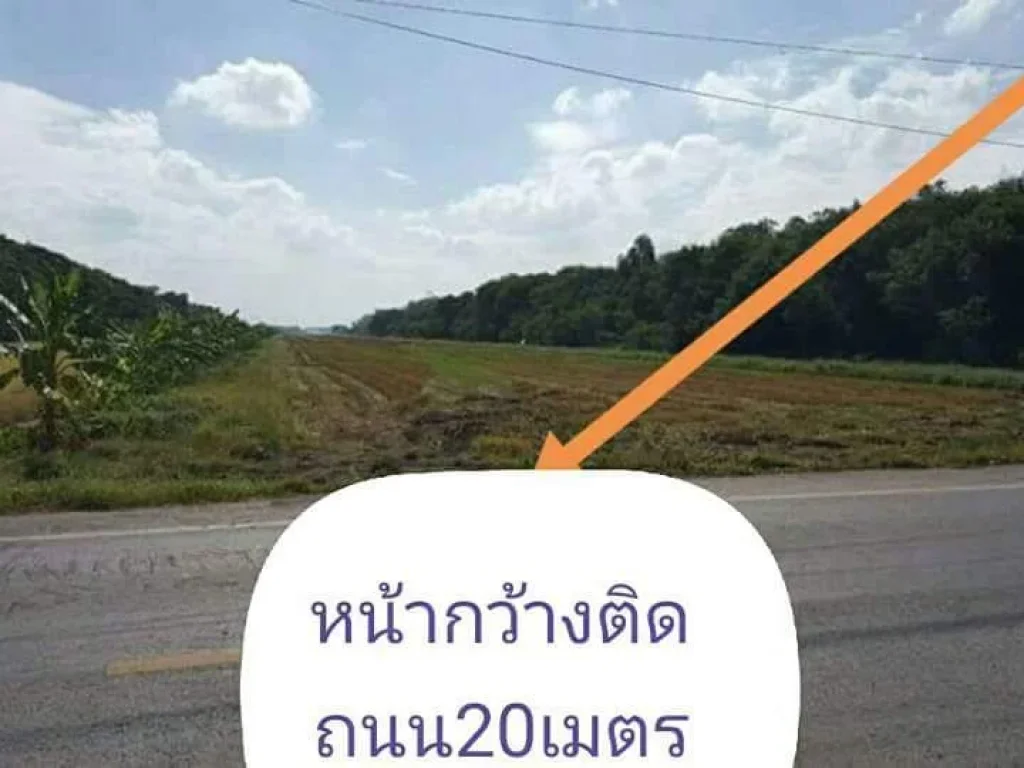 ทีดินคลอง9ลำลูกกา