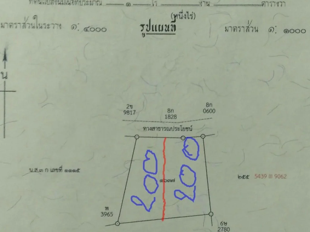 ขายที่ดินแปลงสวย1ไร่ติดหมู่บ้านถคอนกรีตน้ำไฟพร้อม