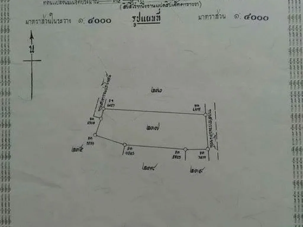 ขายที่นาทำการเกษตร 14 ไร่ 1 งาน