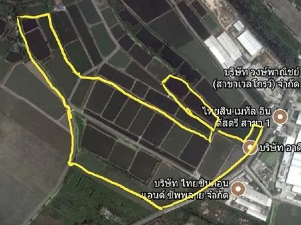 ขายที่ดิน ถบางนาตราด 90 ไร่ หน้ากว้าง 300 เมตร ห่างถนนบางนาตราดเพียง 1 km ไร่ละ 55ล้านบาท เหมาะสร้างโรงงาน หมู่บ้านจัด