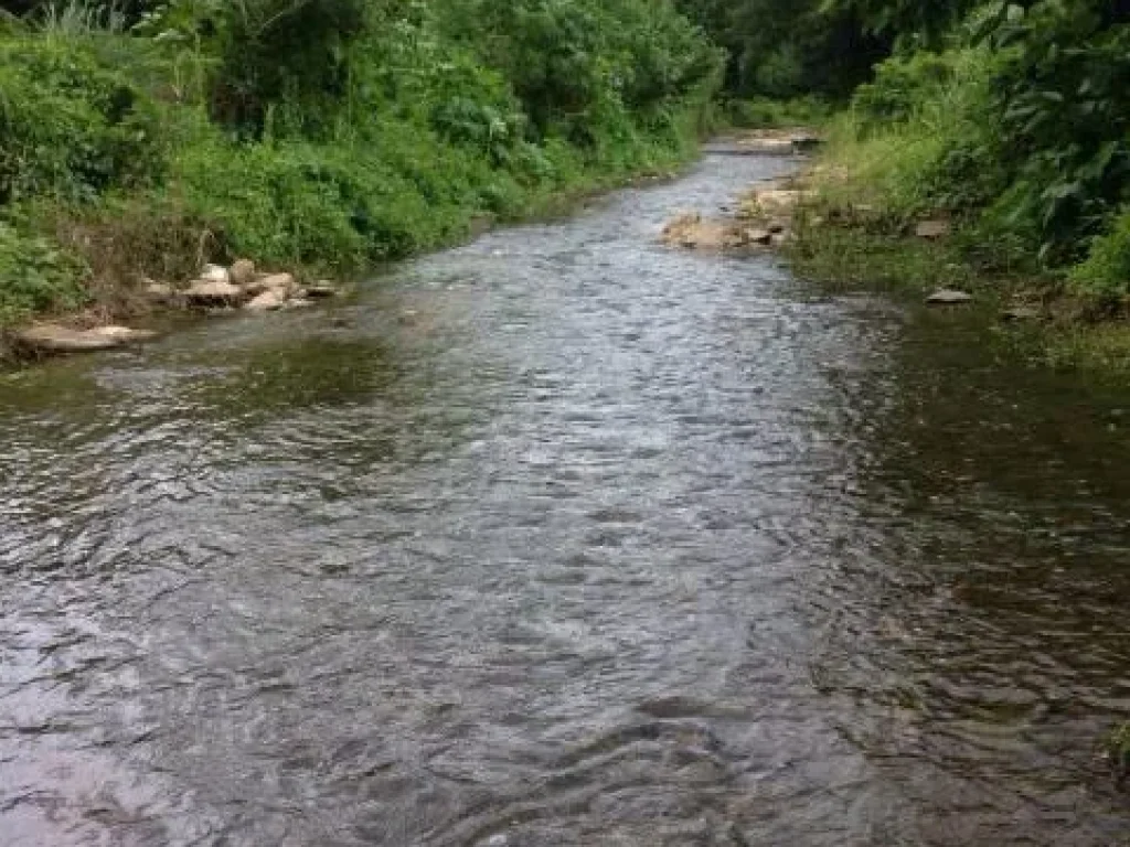 ขายที่ดินติดลำธาร 35 ไร่ที่สวย สามารถต่อน้ำไฟได้เลย อากาศเย็น