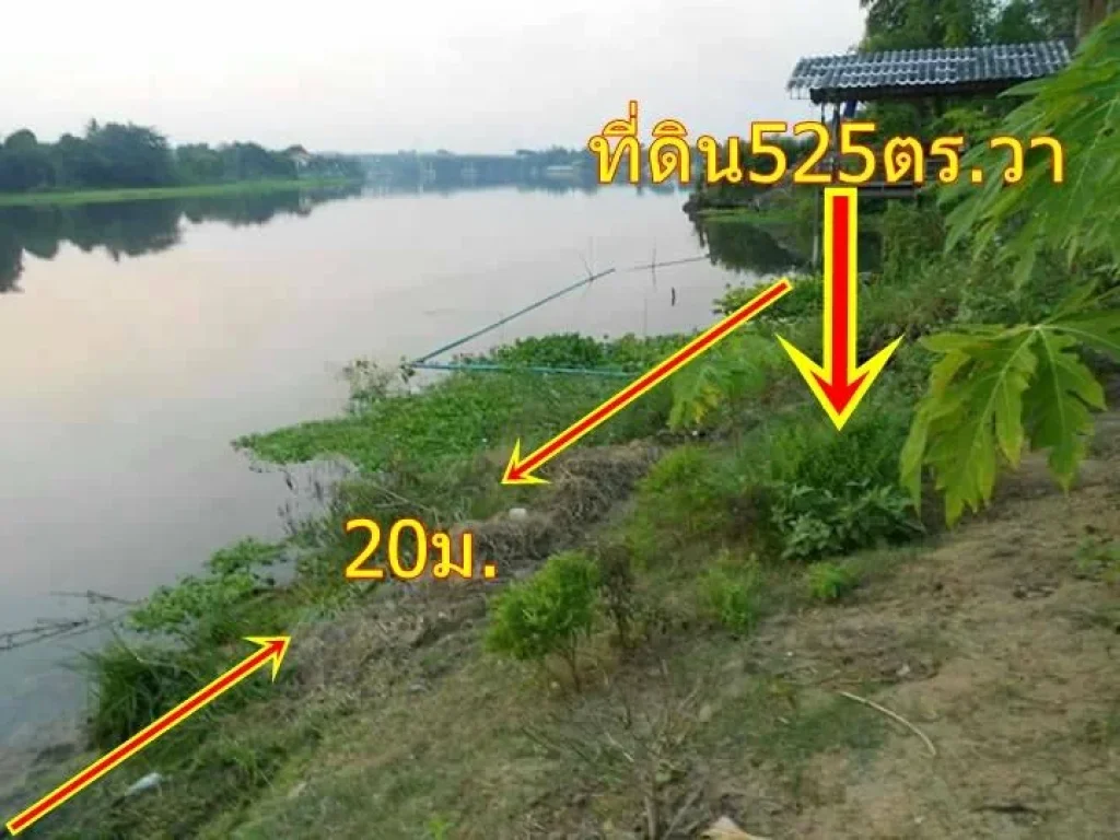 ขายที่ดินติดแม่่น้ำแม่กลอง525ตรวา ตรงข้ามหมูู่่บ้านไพรเวท ติดถนนพงสวาย-ราชบุรี ใกล้ถถนนบายพาสราชบุุรี ขาย9ล้านบาท