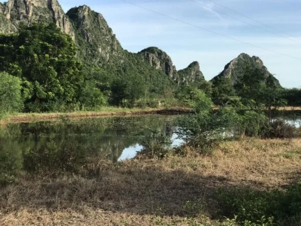 ขายที่ดินใกล้เขาป่า เขาพระตำหนักวนอุทยานนางพันธุรัตวิวภูเขา