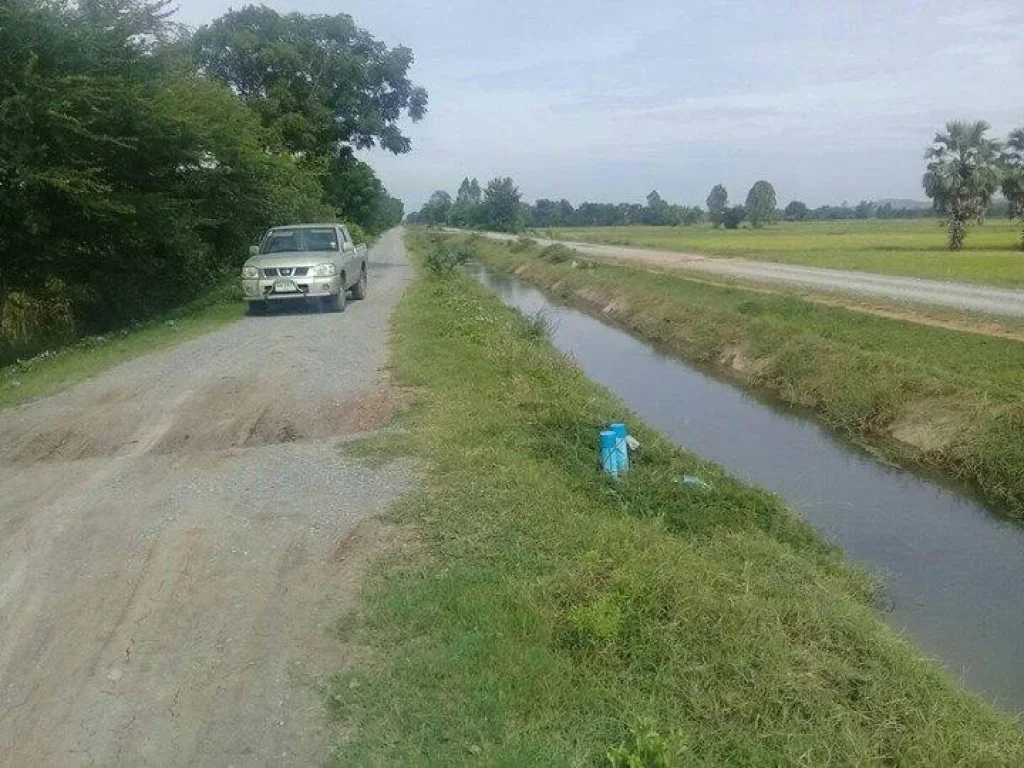 ขายที่ดิน ต ยุ้งทะลาย ออู่ทอง จสุพรรณบุรีขายที่ดิน ติดคลองชลฯ