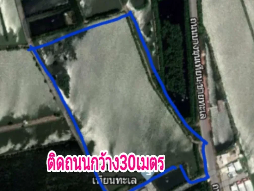 ขายที่ดิน49ไร่ทำเลดีน่าลงทุน