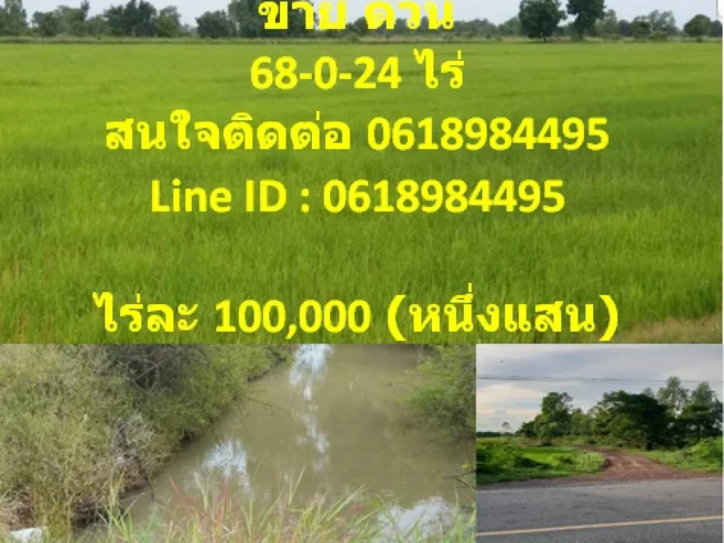 ขายที่ดินการเกษตร 68-0-24 ไร่ หนึ่งแสนบาท ต่อ ไร่