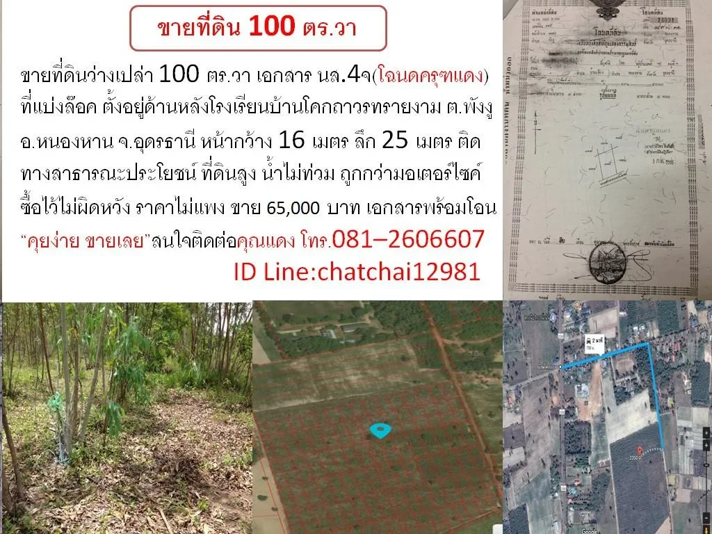 ขายที่ 100 ตรวาครุฑแดง