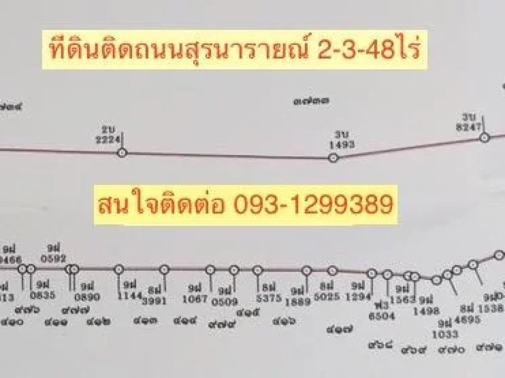 ขายที่ดินติดถนนสุรนารายณ์ บ้านเกาะ เนื้อที่ 2 ไร่กว่า