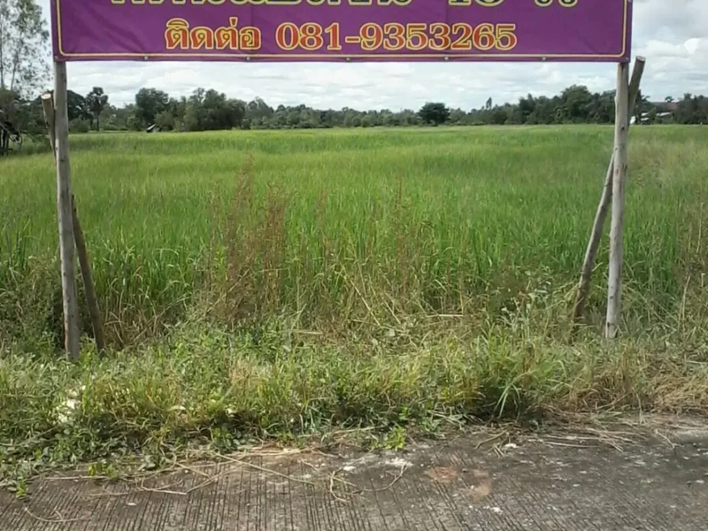 ขายที่ดิน 40ไร่ ในเขตเทศบาลตำบลพันดอน อกุมภาวาปี จอุดรธานี