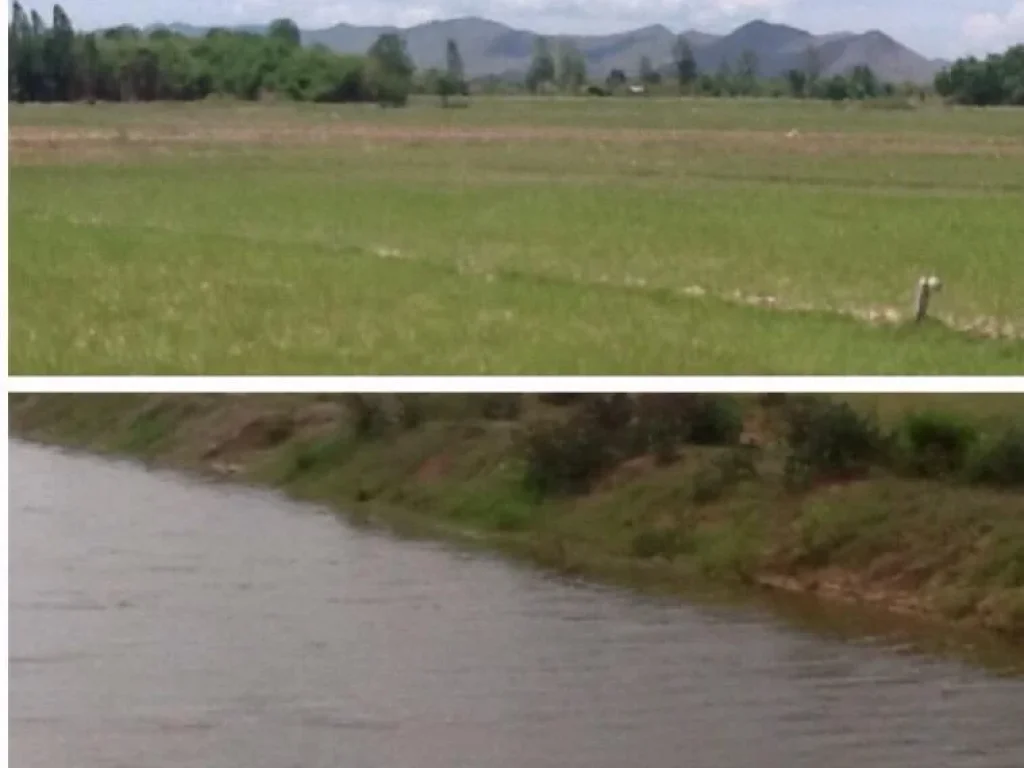 ที่ดินโฉนดติดถนน ติดคลอง 3-3-49 ไร่ ยกแปลง 1000000 บาทพร้อมโอน