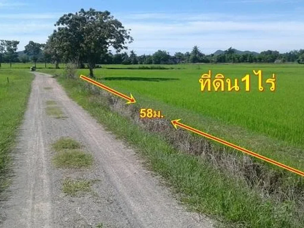 ขายที่ดิน1ไร่ บ้านรางไม้แดง ห่างจากถนนเขางู-เจดีย์หัก-ราชบุรี13กม บรรยากาศดี เหมาะอยู่อาศัยหลังเกษียณ ขาย800000บาท