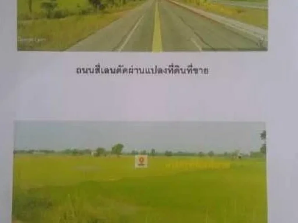 ที่ดินอำเภอเมืองสุโขทัย 142 ไร่ ติดถนนใหญ่สี่เลนพิษณุโลก_ตาก หน้ากว้าง 180 วา ยาว 200 วา ห่างจากอำเภอเมืองสุโขทัย 8 กิ