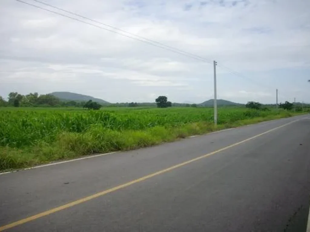 ขายที่ดิน34ไร่โฉนดติดถนนลาดยางที่สวยบรรยากาศดีมีเพื่อนบ้านไฟฟ้าประปาพร้อม