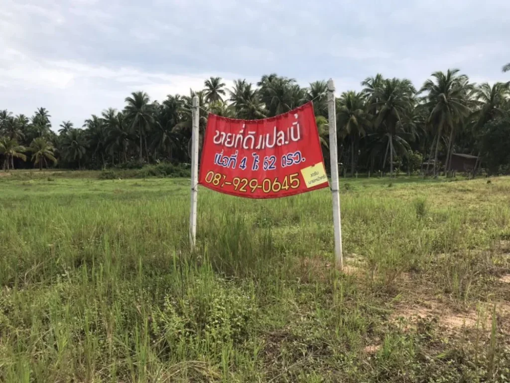 ขายที่ดิน อำเภอ บางสะพานน้อย จังหวัดประจวบ