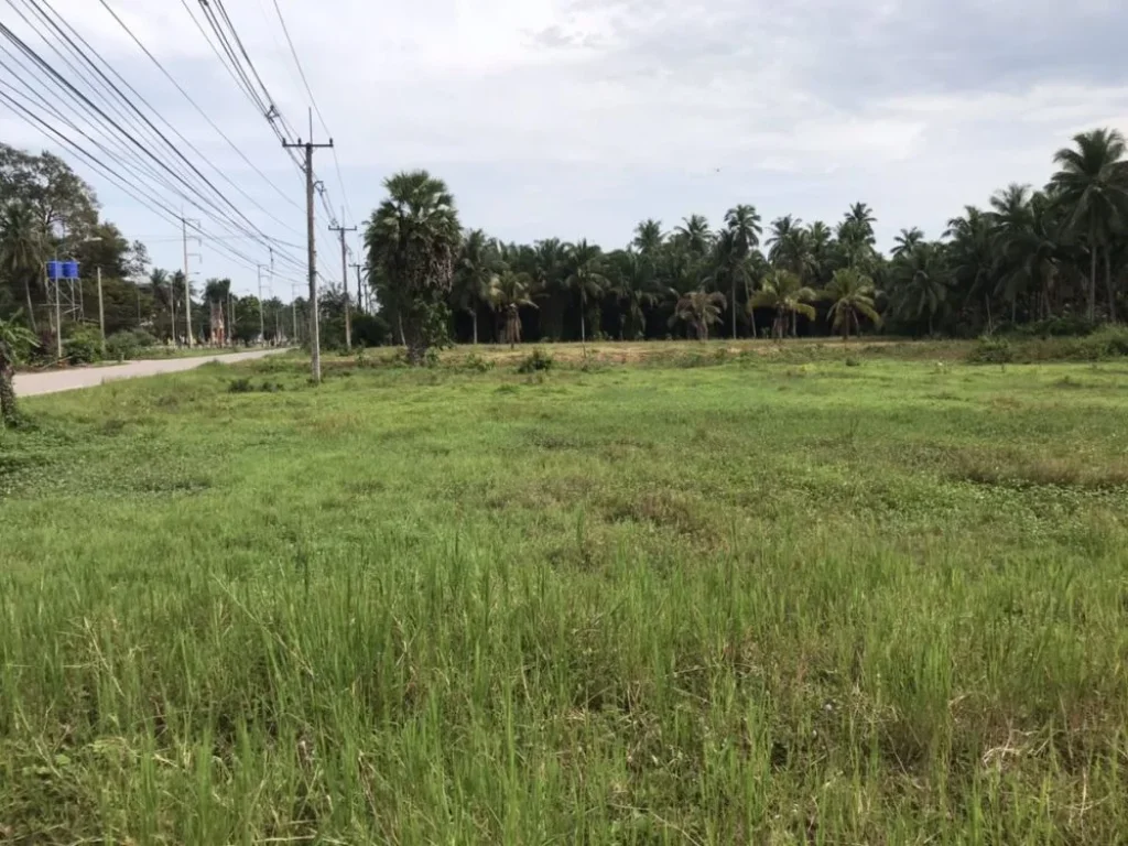 ขายที่ดิน อำเภอ บางสะพานน้อย จังหวัดประจวบ