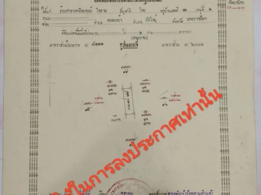 ขายที่ดินเนื้อที่ 200 ตารางวา อพัฒนานิคม จลพบุรี