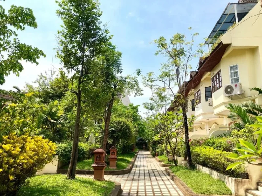 Cozy Living in Town Chang Phuak Mueang Chiang Mai 4 storey townhouse with 311 sqm living space Nice environment with greener garden large swim