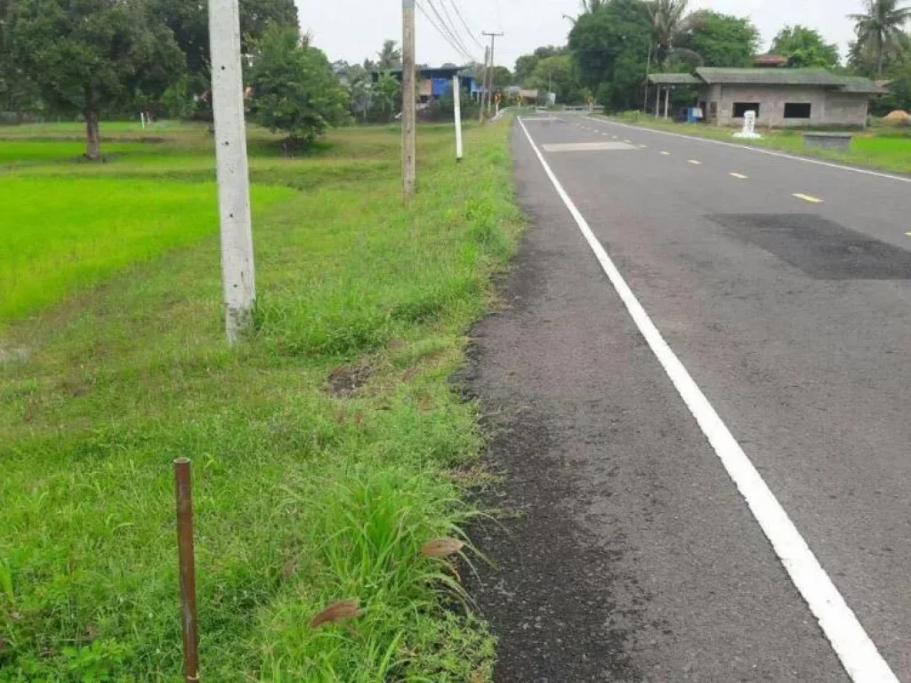 ขายที่ดิน 3 ไร่ 2 งาน บ้านทุ่งคำไผ่ ติดถนนดำ อยู่ในชุมชน