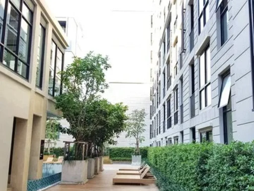 Maestro Ratchada Rama 9 Pet Friendly Condo 1 bed for rent