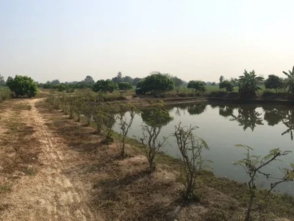 ขายที่ดิน สวนผลไม้ 3 ไร่ ตหนองแก๋ว อหางดง จ เชียงใหม่ ถมแล้ว มีน้ำอุดมสมบูรณ์ เหมาะทำฟาร์มสเตย์