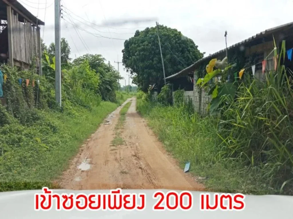 ขายที่ดิน 20 ไร่ ตำบลโนนท่อน จังหวัดขอนแก่น