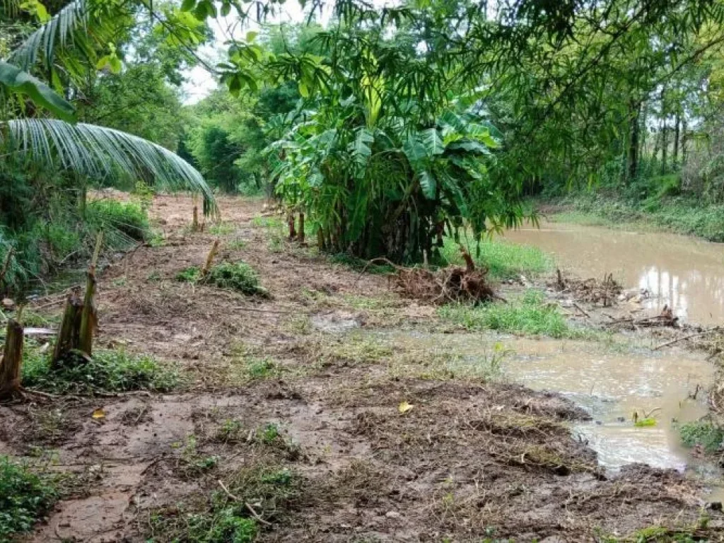 ขายที่ดิน 20 ไร่ ตำบลโนนท่อน จังหวัดขอนแก่น