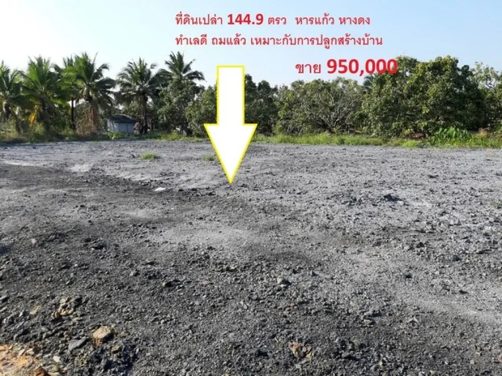 ขายที่ดิน 100 1449 และ 384 ตรว ตหารแก้ว อหางดง เชียงใหม่ ทำเลดี ถมแล้ว เหมาะสำหรับ สร้างบ้าน