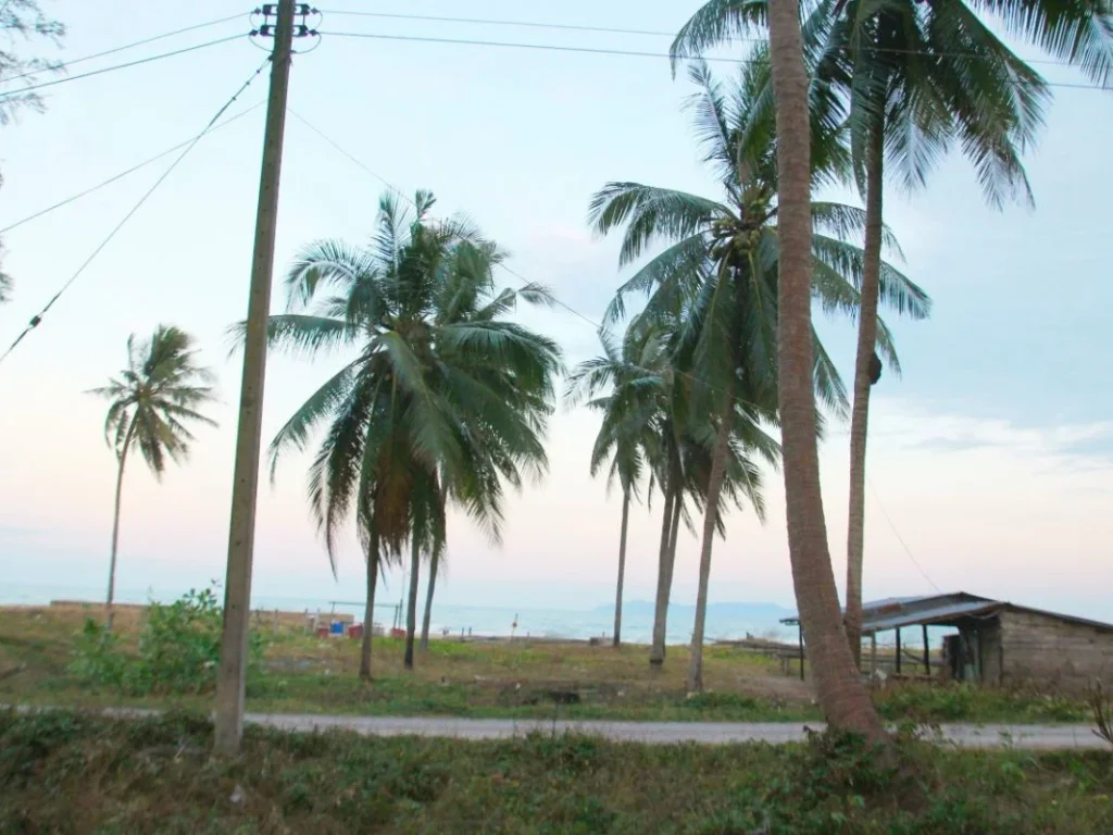 ขายด่วน ที่ดินติดริมหาดในระยะเดินไม่เกิน 1 นาทีถึง เหมาะสำหรับทำบ้านพักตากอากาศ ราคาไม่แพง