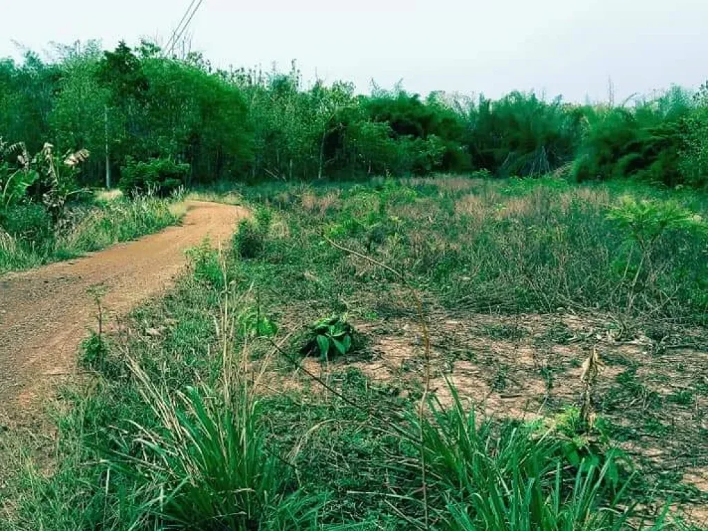 ที่ดินเปล่า โฉนด อุตรดิตถ์