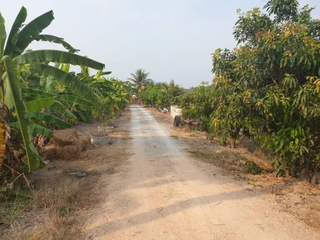 ขายที่ดิน ตระแหง อลาดหลุมแก้ว จปทุมธานี