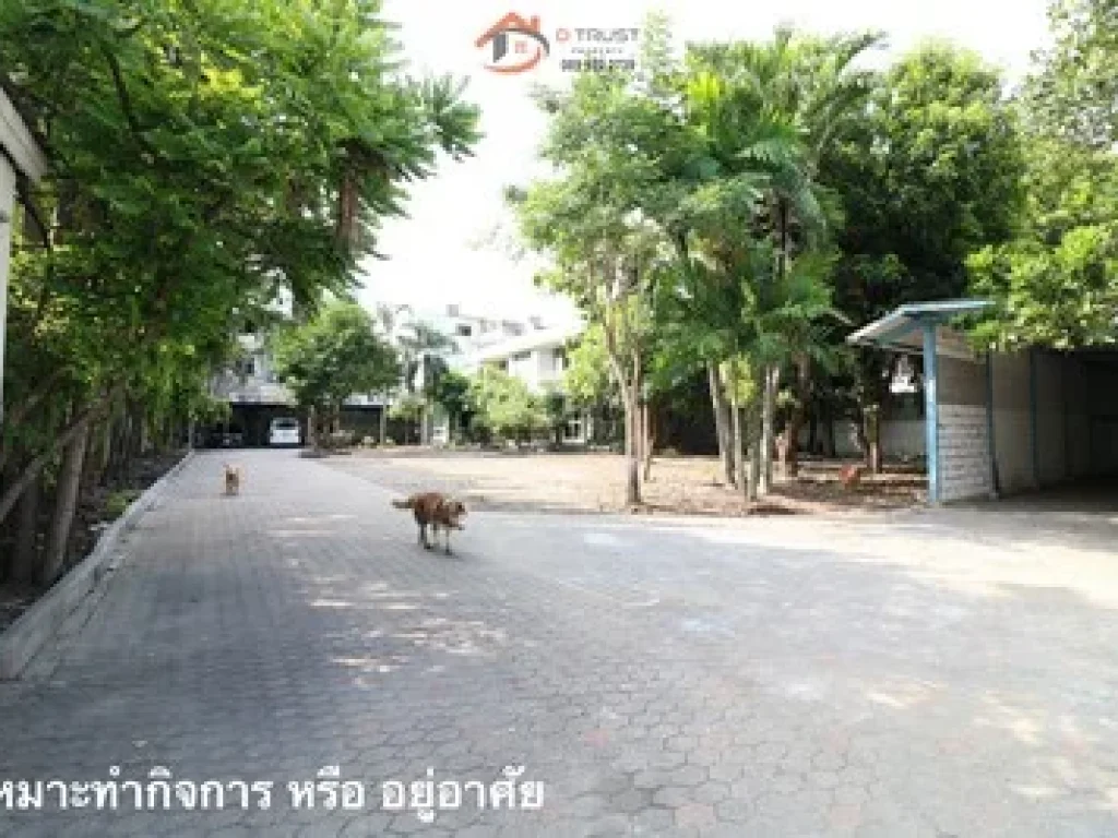 ให้เช่า For Rent ที่ดิน พร้อมบ้าน สาธุประดิษฐ์ 44 บางโพงพาง ยานนาวา พระราม 3 นราธิวาสราชนครินทร์