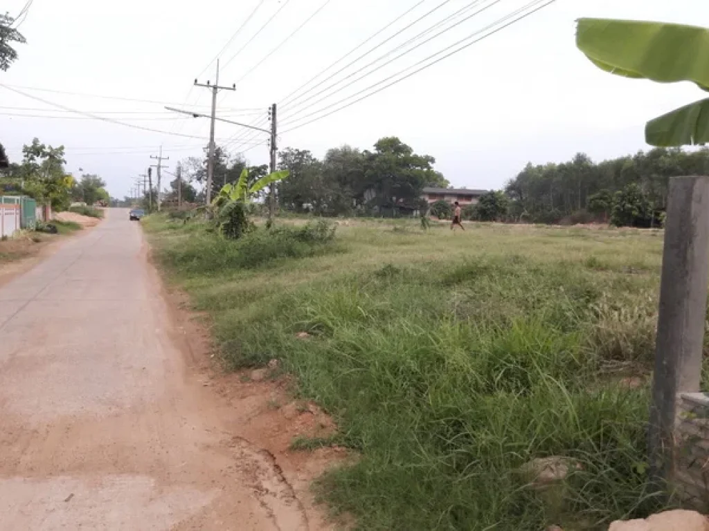 ที่ดิน บ้านบ่อ สี่แยกบ้านบ่อ ถนนกาฬสินธุ์-ร้อยเอ็ด กมลาไสย กาฬสินธุ์