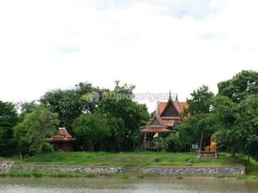 A6 ขายด่วน บ้านเรือนไทยริมแม่น้ำน้อย พระนครศรีอยุธยา สนใจจริงราคาต่อรองได้