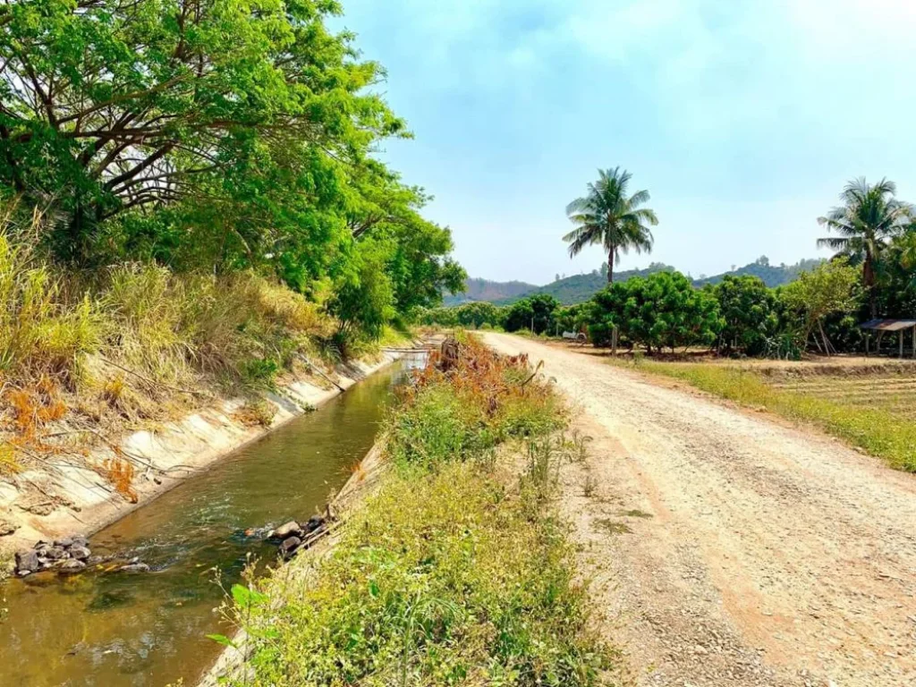 ขายสวนลำใย บ้านกาด ติดคลองชลประทาน