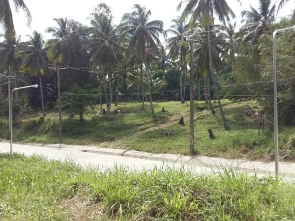 ขายที่ดินบนเกาะพะงันติดถนนใหญ่10ไร่