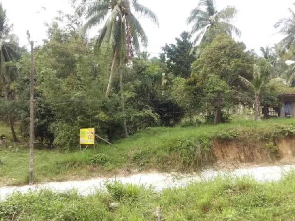 ขายที่ดินบนเกาะพะงันติดถนนใหญ่10ไร่