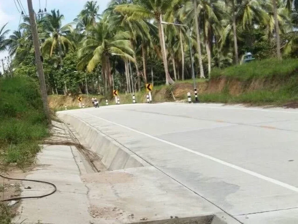 ขายที่ดินบนเกาะพะงันติดถนนใหญ่10ไร่