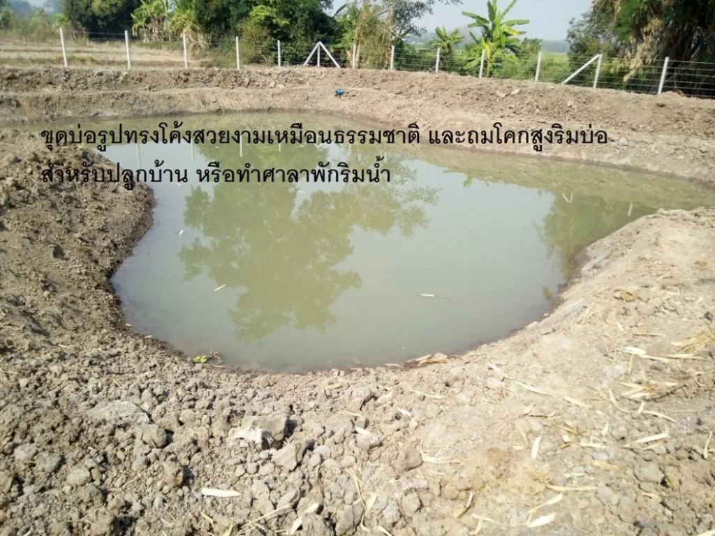 ขายที่ดิน 2-2-19 ไร่ บ้านหนองพันเงิน ตยุหว่า อสันป่าตอง จเชียงใหม่