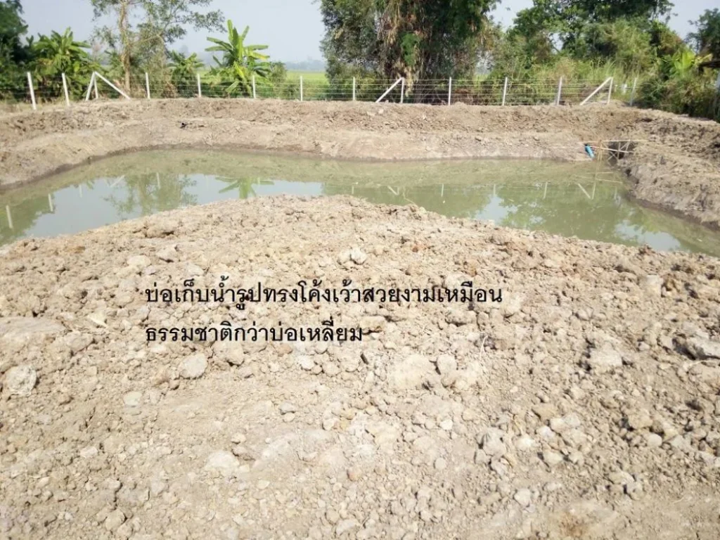 ขายที่ดิน 2-2-19 ไร่ บ้านหนองพันเงิน ตยุหว่า อสันป่าตอง จเชียงใหม่