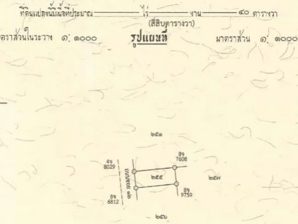 ขายที่ดินเปล่า ห่างจากถนนใหญ่ 50 เมตรลพบุรี พัฒนานิคม ช่องสาริกา 40 ตรว