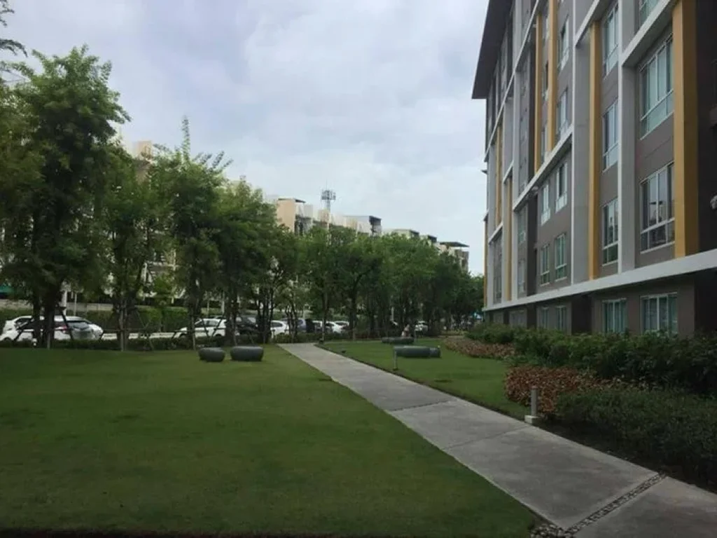 D CONDO CAMPUS RESORT ขนาด 30 ตรม 1 นอน 1 น้ำ ชั้น 2 อาคาร A