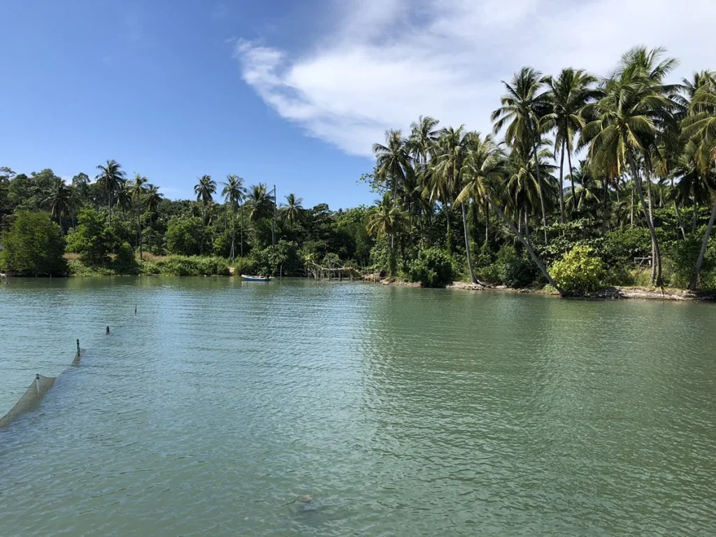 ขายที่ดินเปล่าถมแล้วมีโฉนดติดทะเลวิวสวย 10 ไร่ เกาะช้าง จังหวัดตราด