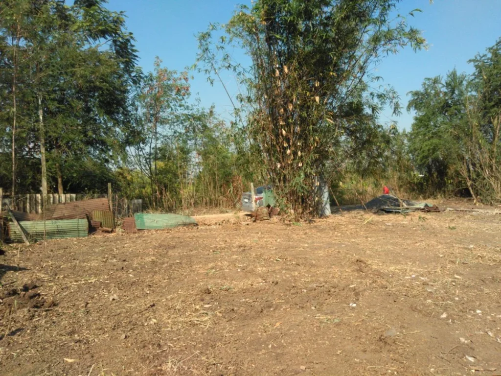 ขายที่ดินพร้อมบ้านหลังเล็กๆ คลองห้า คลองหลวง ปทุมธานี