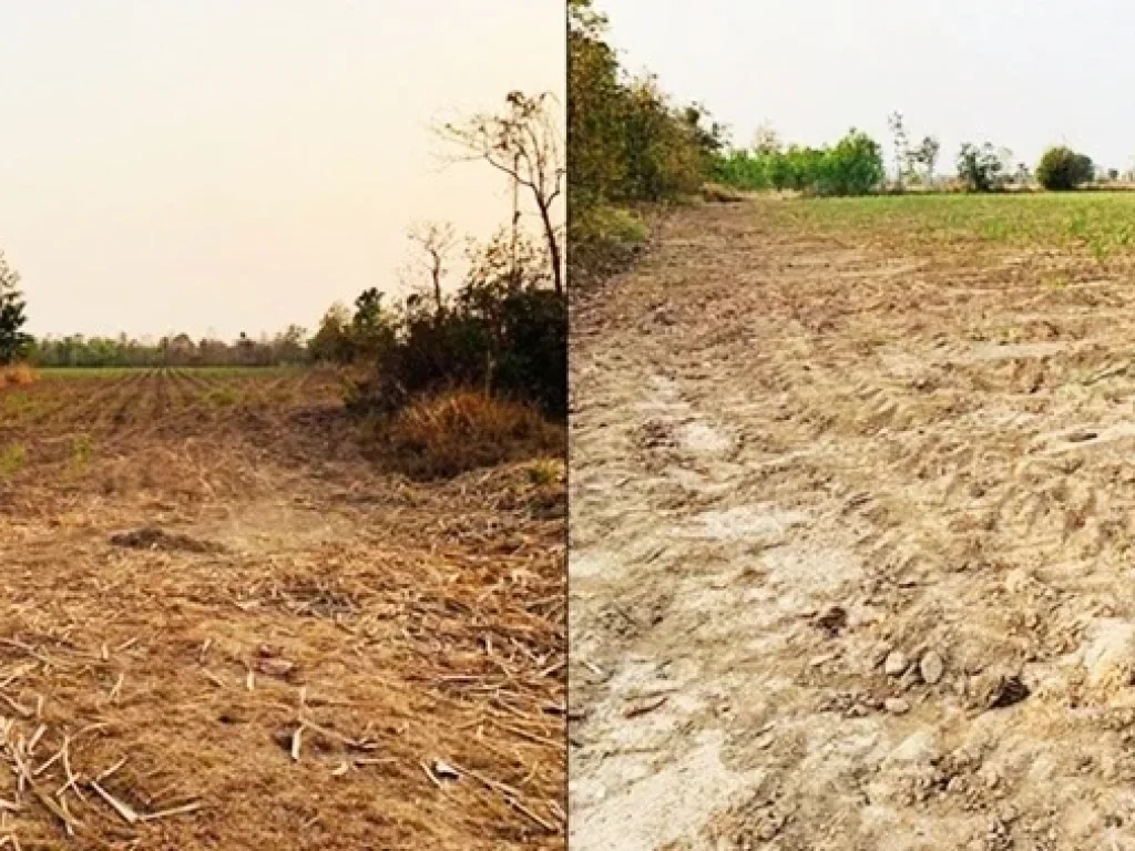 ขายถูกขายด่วน ที่ดินที่นา บ้านทุ่งปลากัด อำเภอสว่างแดนดิน จังหวัดสกลนคร