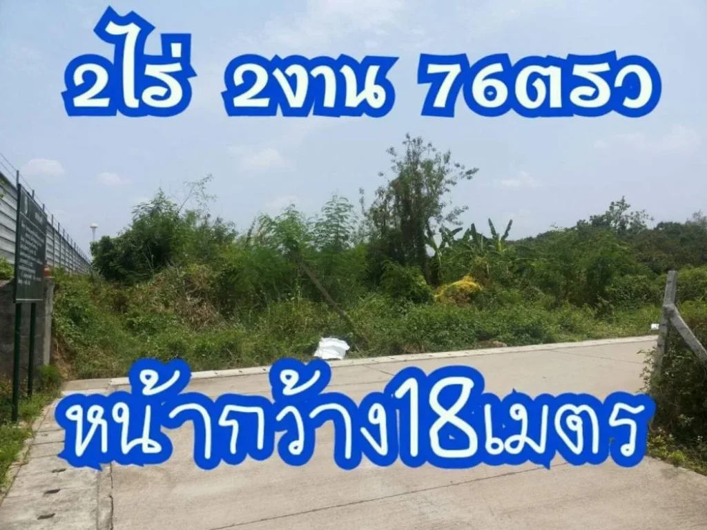 ขายที่ดินสารภี ไกล้โรงพยาบาลสารภี ราคาถูก