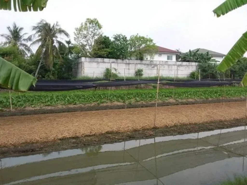 ขายที่ดินทำเลสวย ติดหมู่บ้านอินนิซิโอ บางกรวย นนทบุรี เนื้อที่ 12 ไร่ 281 ตรว