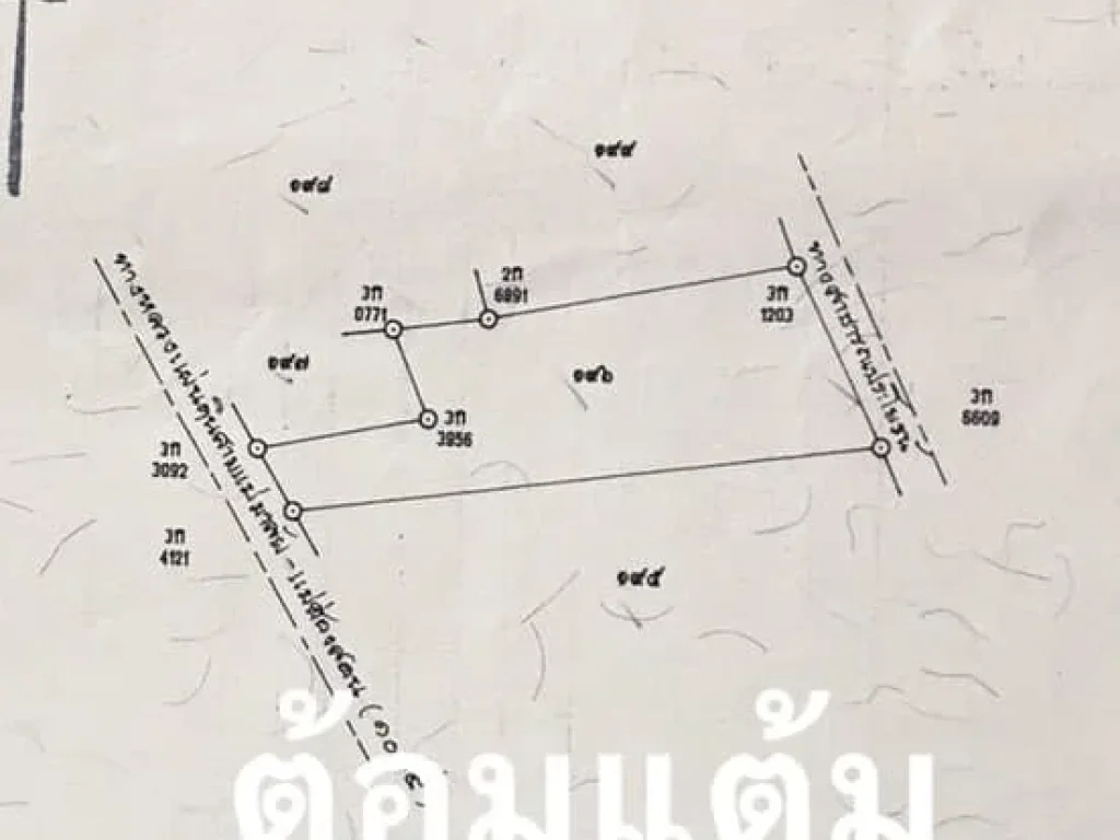 ขายที่ดินอำเภอปาย 3 ไร่ 2งาน 91 ตรว